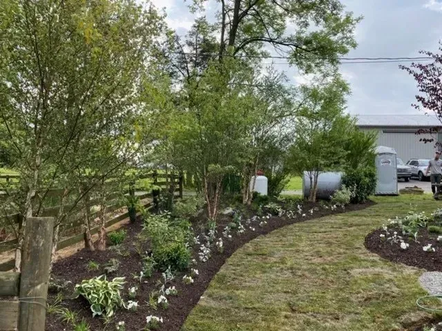 Landscaped garden bed with mulch and flowering plants, bordered by a fence and lawn; in the background is a building.