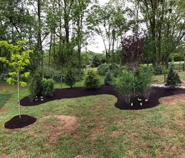 Landscaped yard with trees and mulch beds surrounded by grass and forest background.