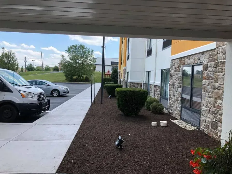 View of a hotel exterior with parking area. Cars parked along a sidewalk with shrubbery, a brown mulch bed and stone facade.