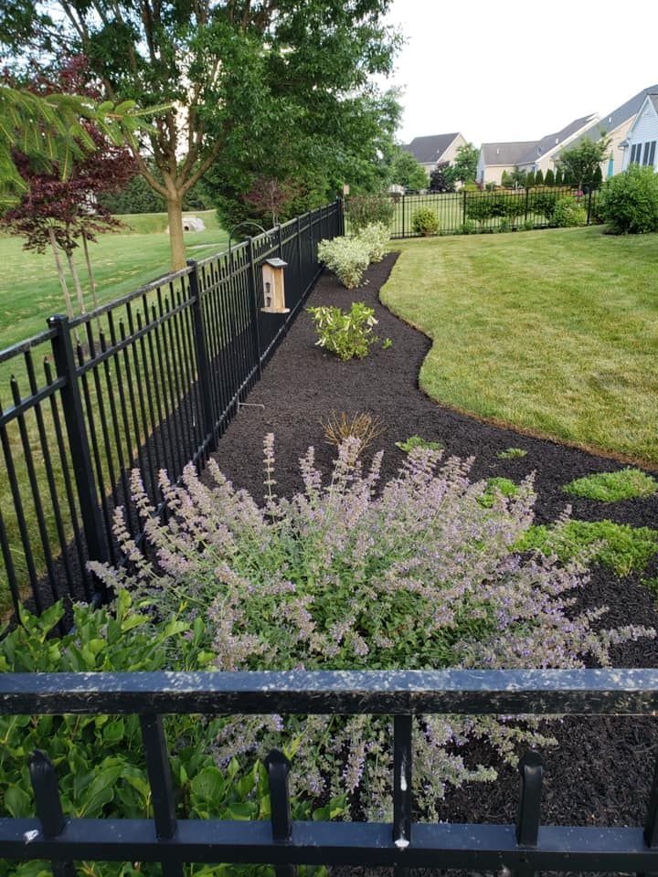 Black metal fence borders a landscaped garden with dark mulch and flowering plants. Green lawn in background.