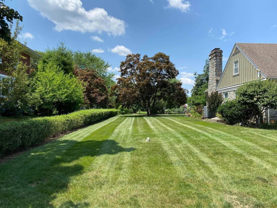 Lawn with freshly cut stripes; tree in the center, house on the right, and sky with clouds.