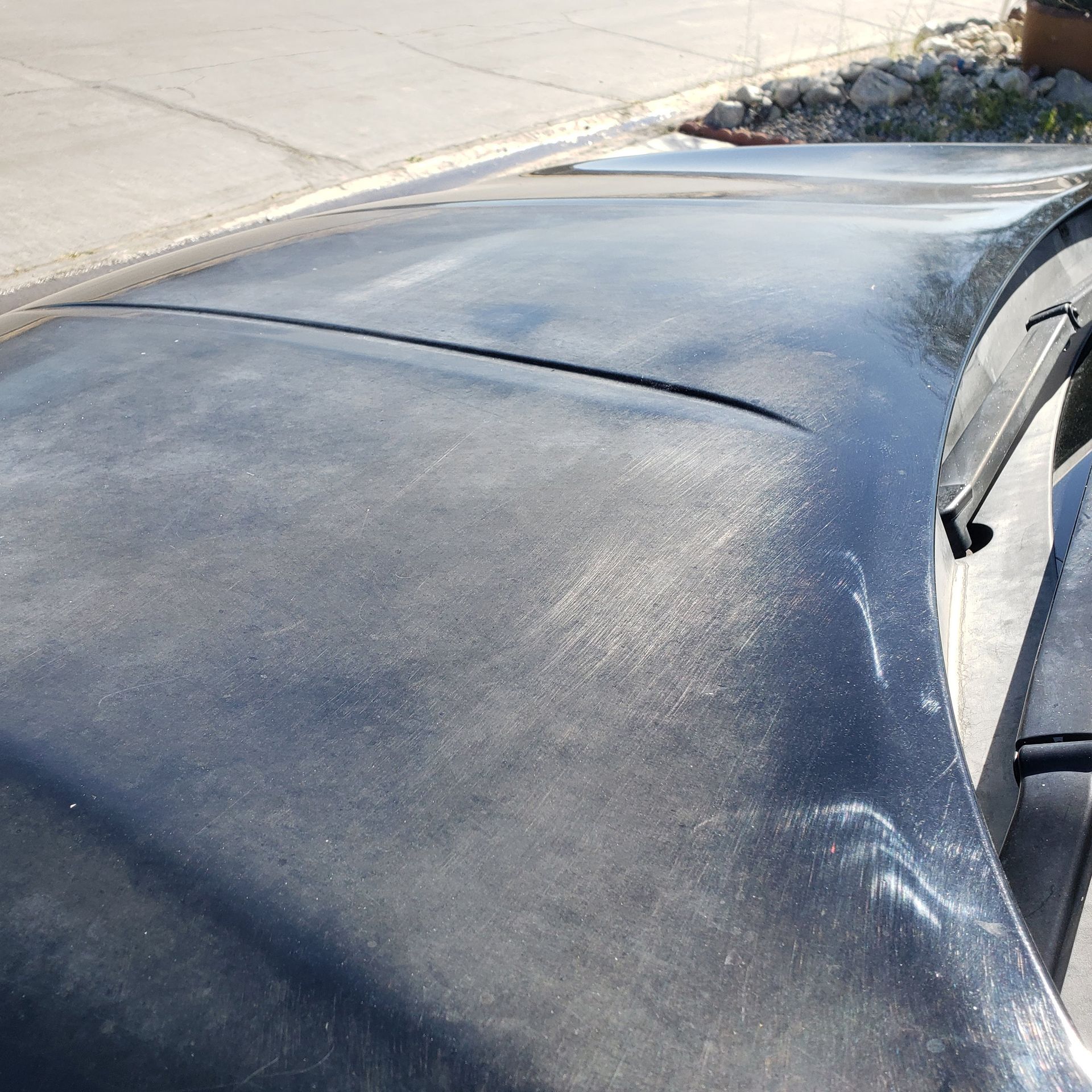 Dust-covered car hood parked beside a curb under bright sunlight