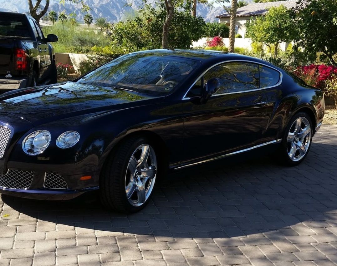 Black luxury car parked on a sunlit driveway with mountains and flowers in the background