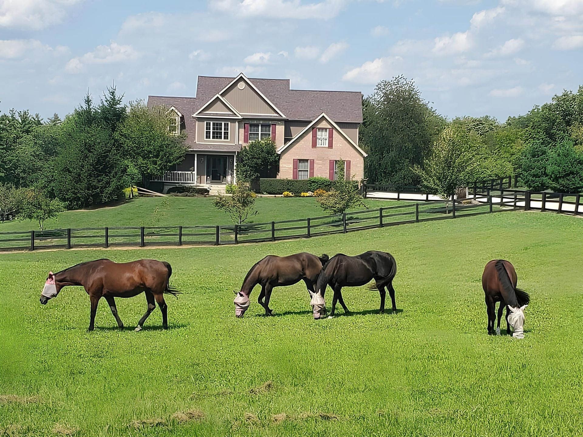 Horses grazing in a green field before a large house and trees.