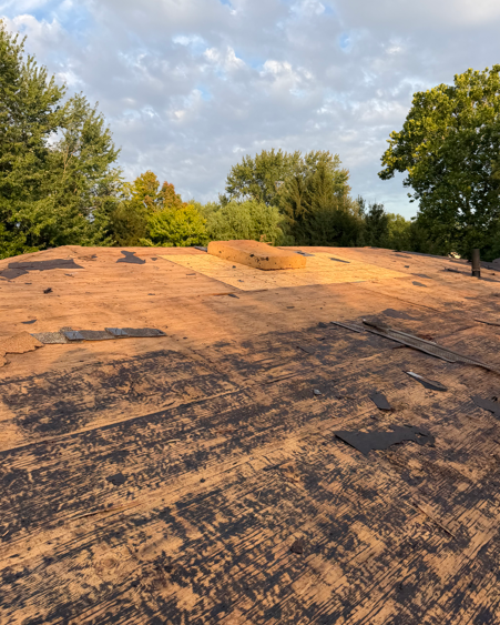 Flat roof with black patches and yellow insulation, surrounded by trees under a partly cloudy sky