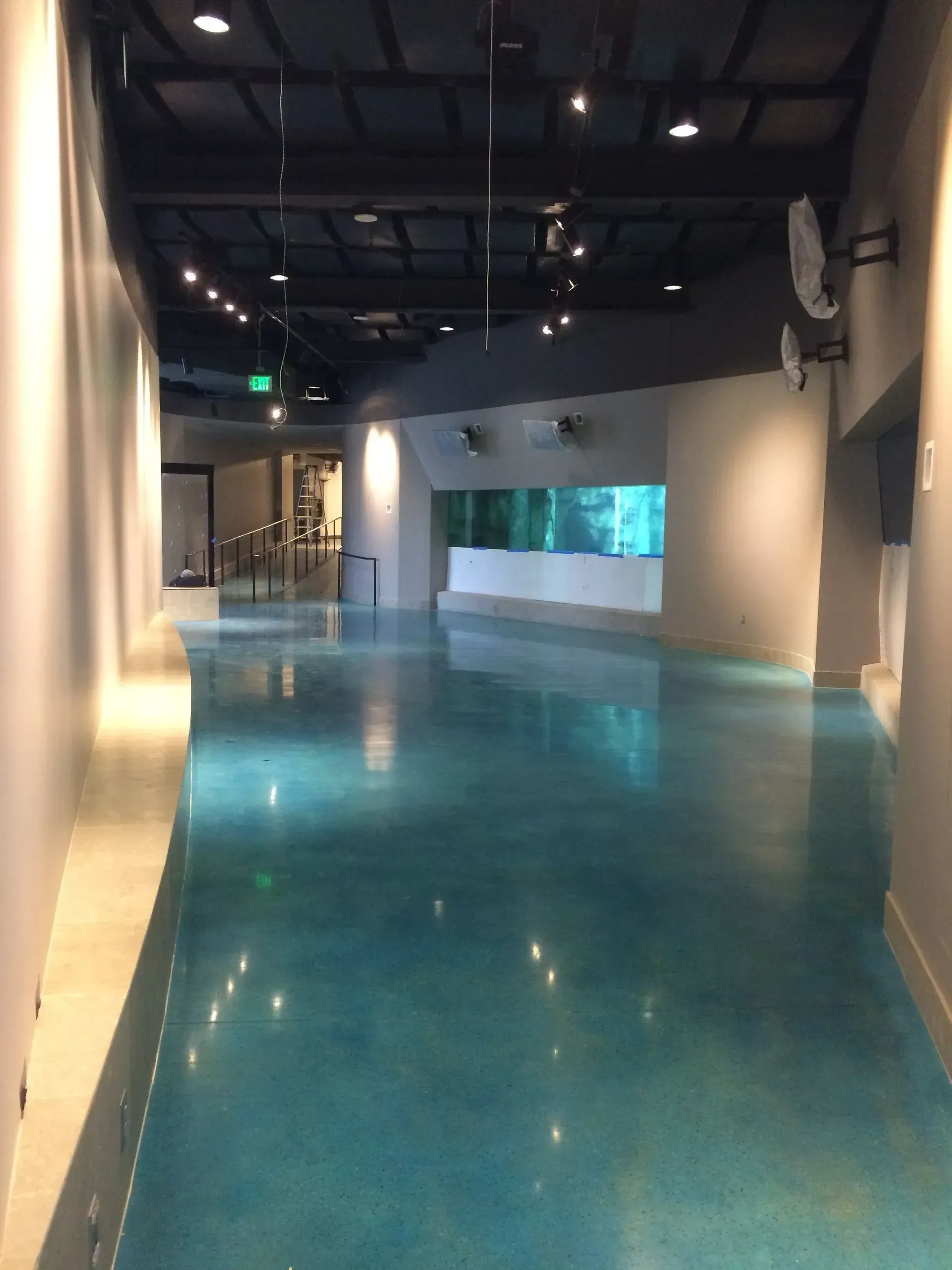 Empty modern hallway with glossy blue floor and ceiling lights in a gallery-like interior
