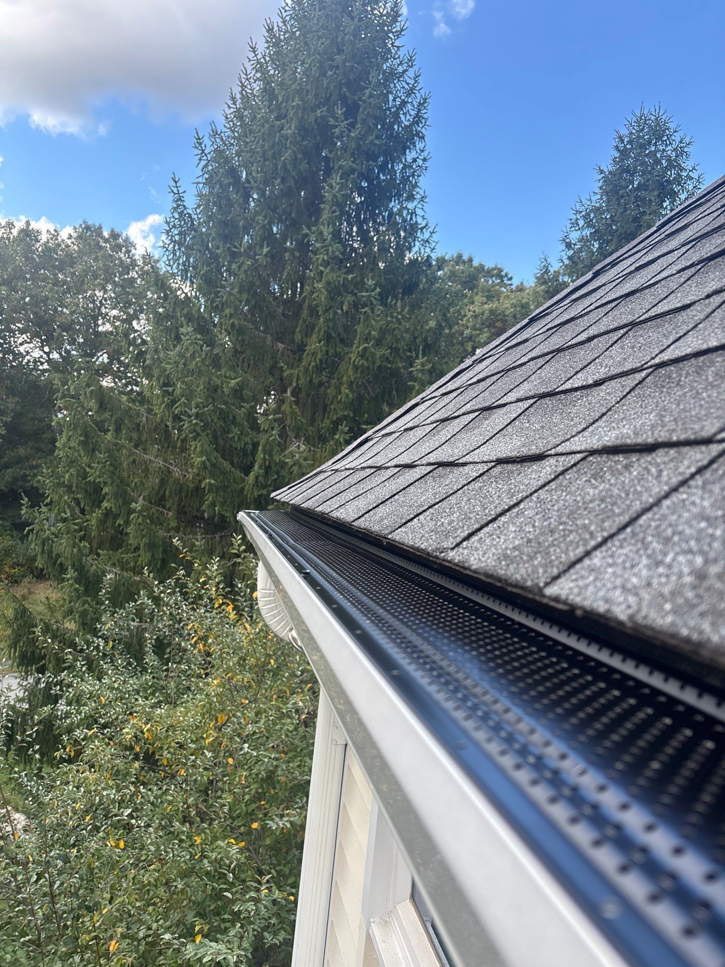 Rain gutter along a shingled roof beside tall trees under a blue sky