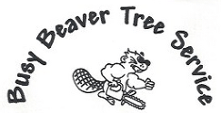Busy Beaver Tree Service  Logo