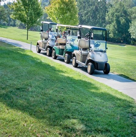 Golf carts parked in a row on a paved path next to a grassy hill on a golf course.