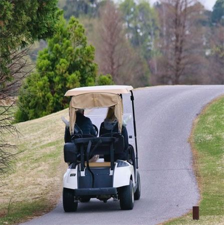 Two people ride in a golf cart on a winding path, beside green grass, trees, and an open sky.