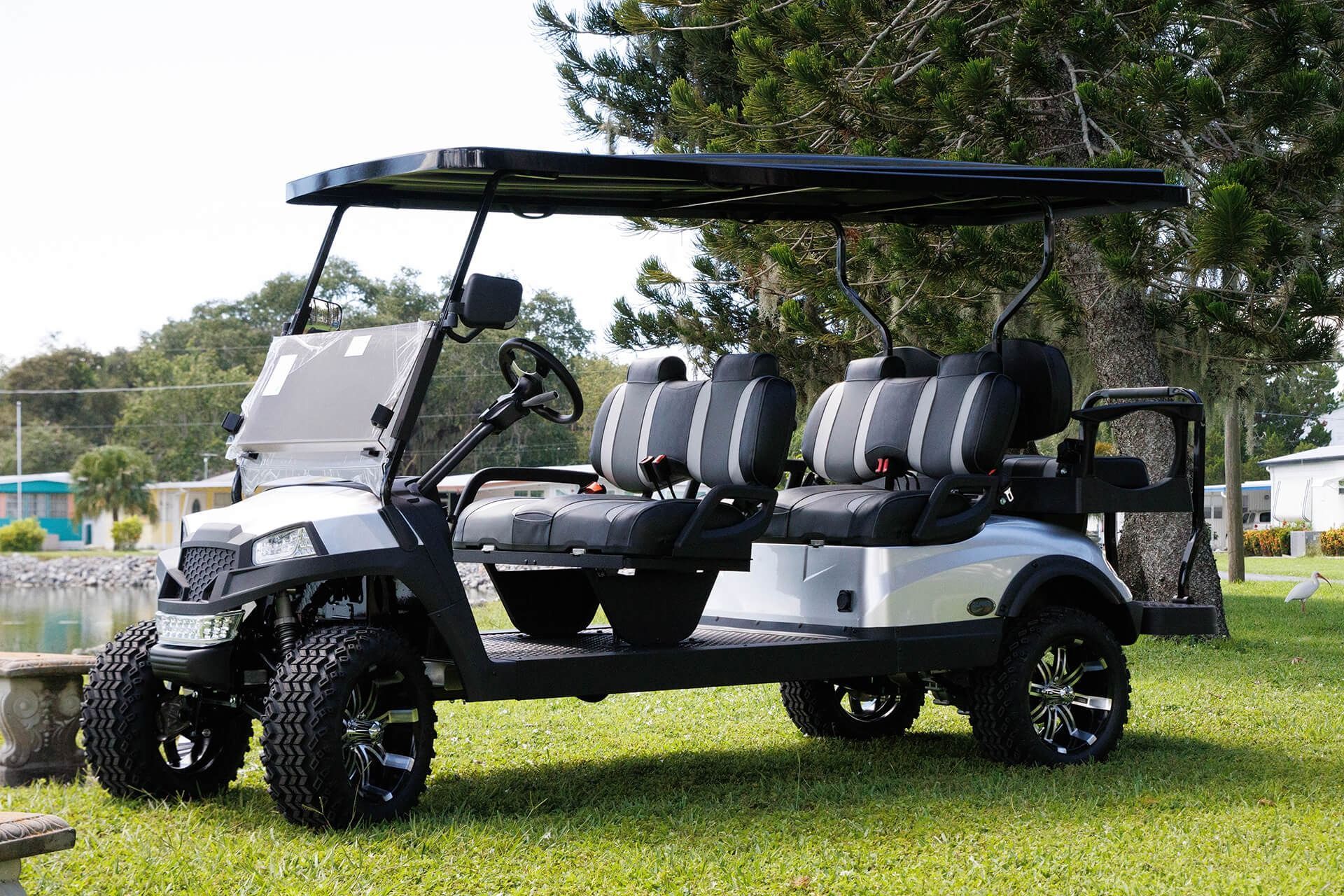 Silver and black golf cart on green grass, parked by a pond.