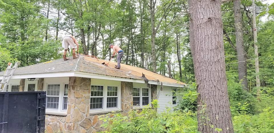 professional gutter service