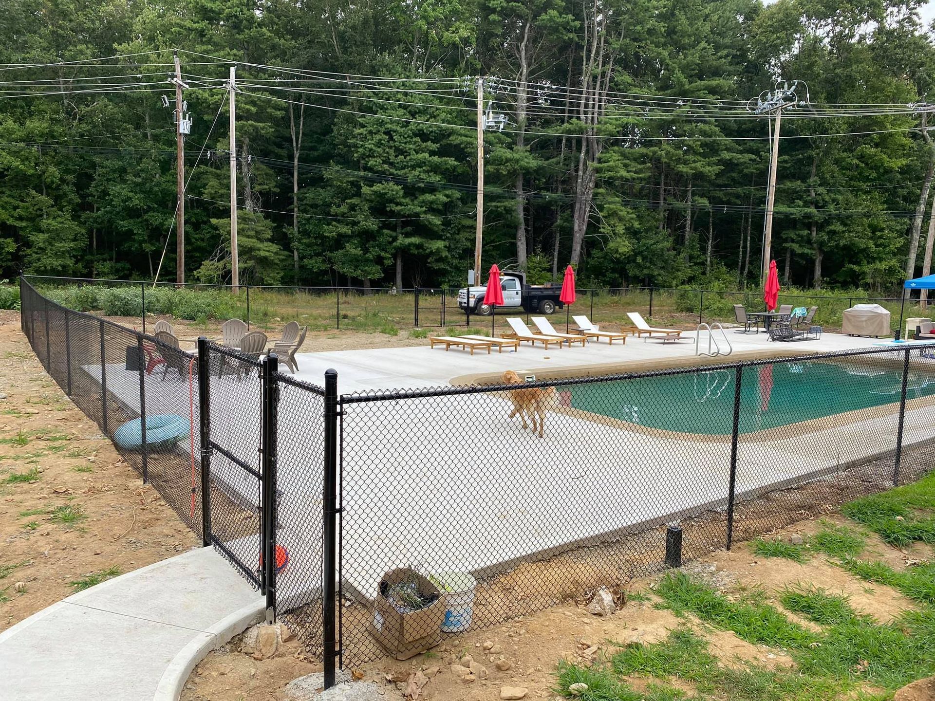 a black chain link fence surrounds a large swimming pool .