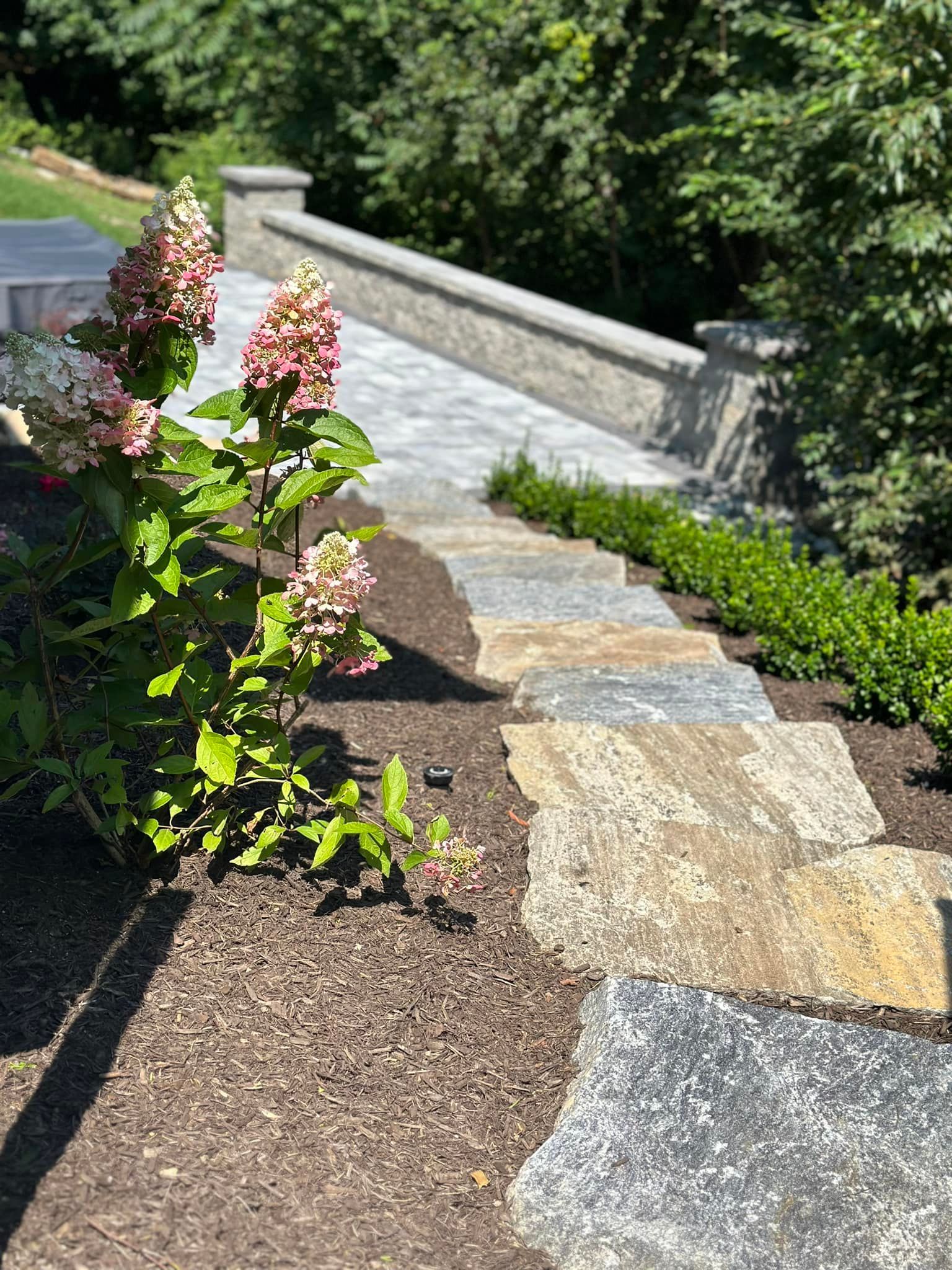 a bush with pink flowers is growing next to a stone walkway .