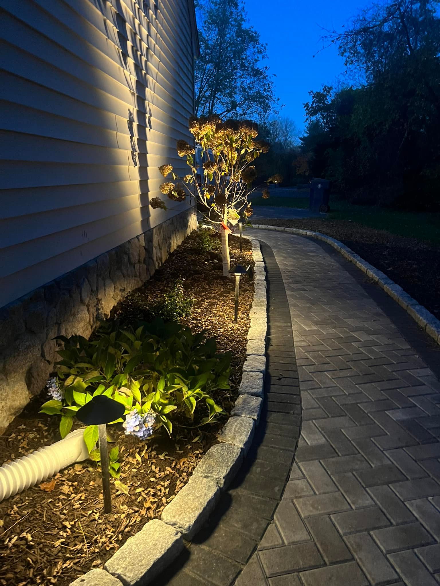 a walkway with lights on the side of a house at night .