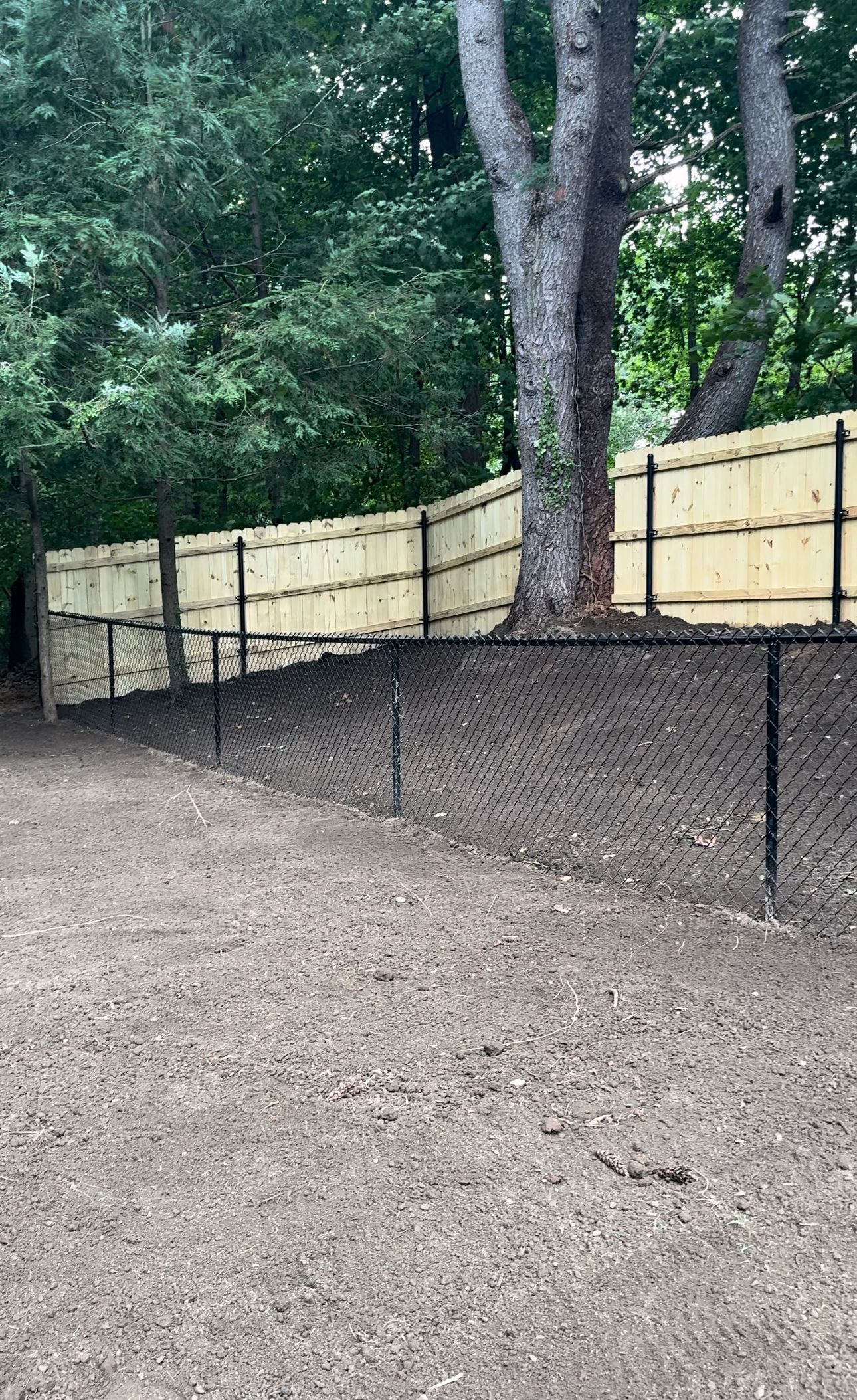 A wooden fence surrounds a dirt field with trees in the background.