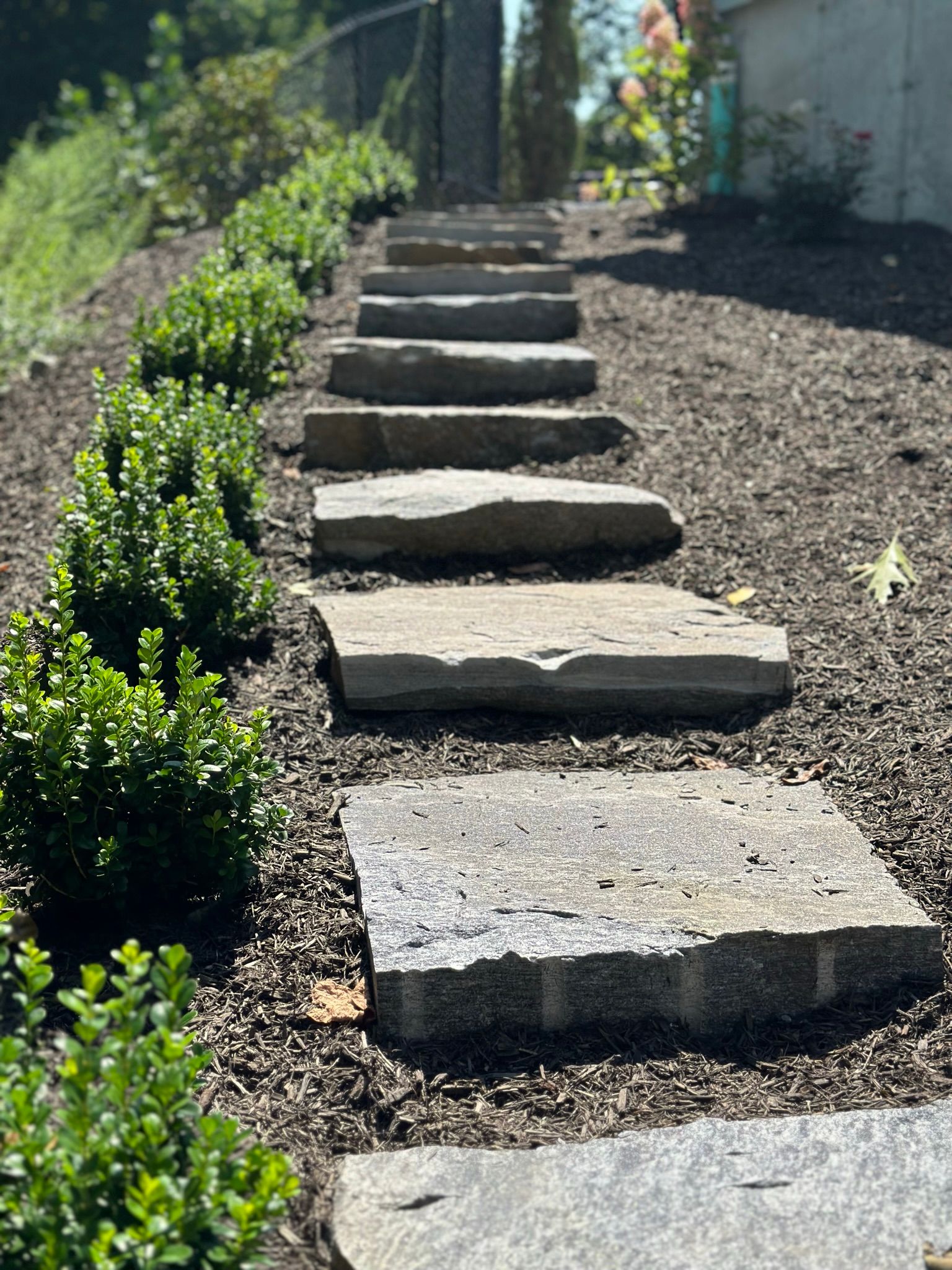 A row of stone steps leading up to a house