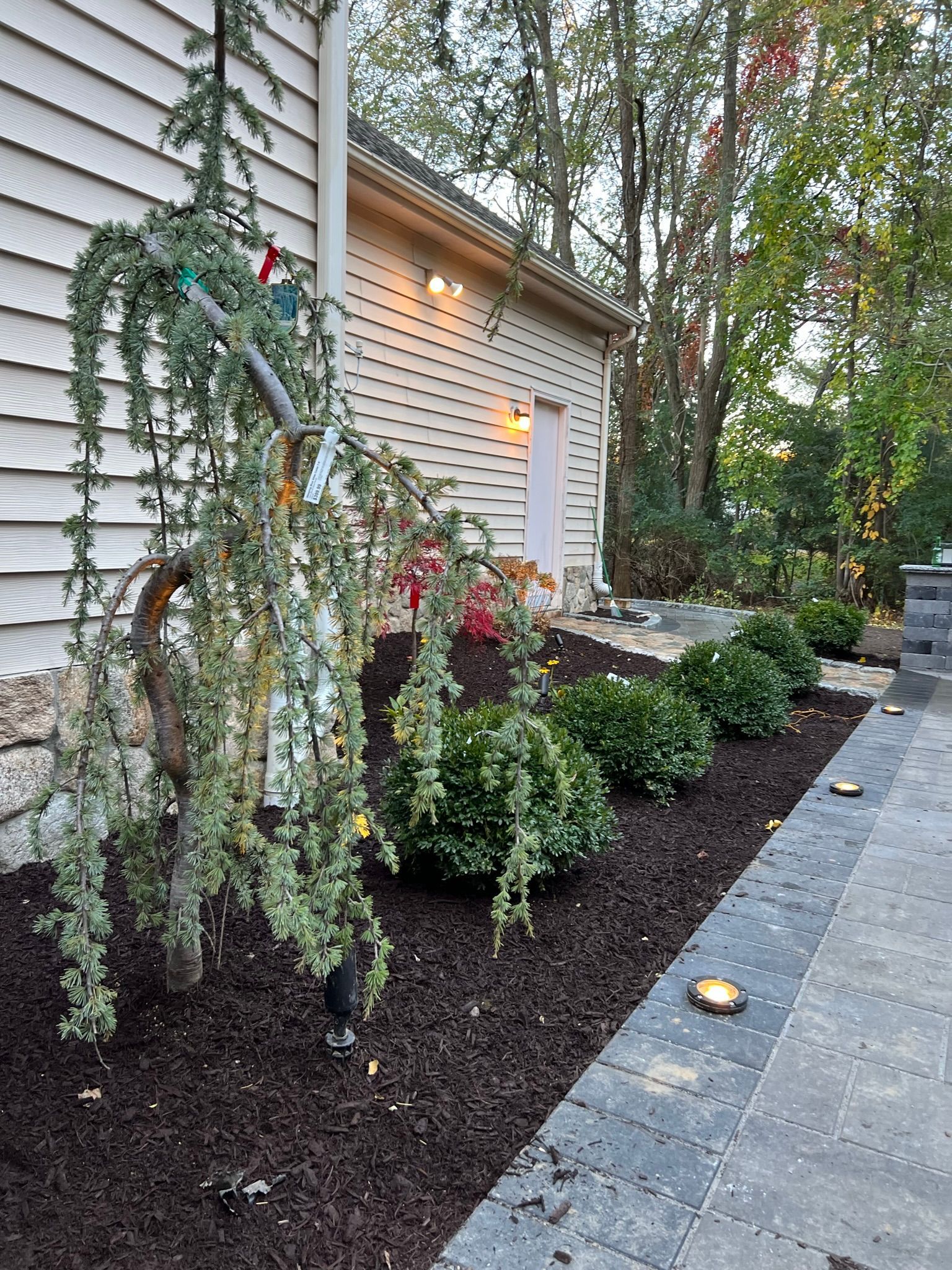 A house with a weeping willow tree in front of it.
