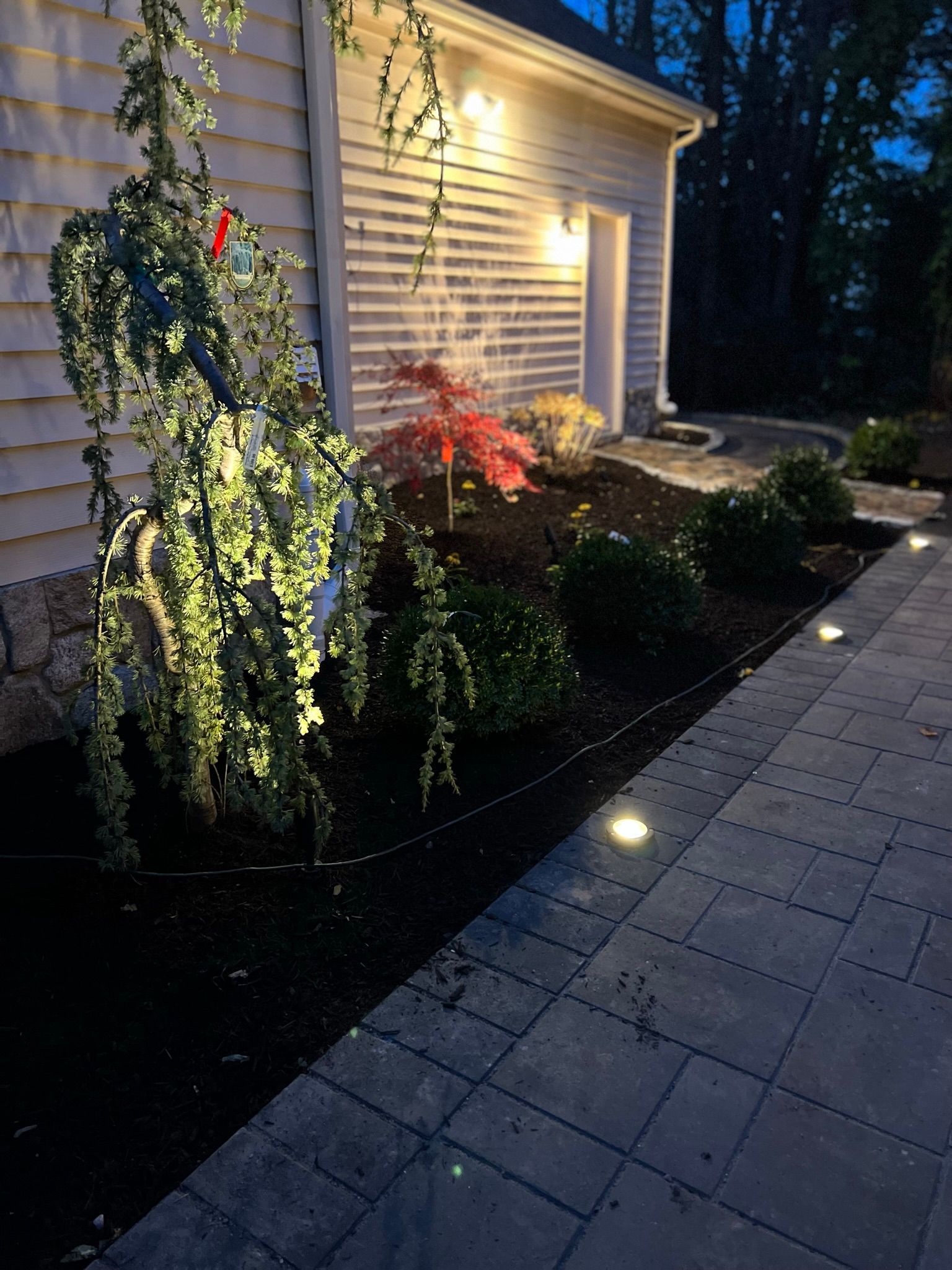 A walkway leads to a house with a lot of plants and trees.
