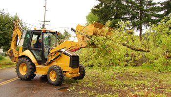 Storm cleanup
