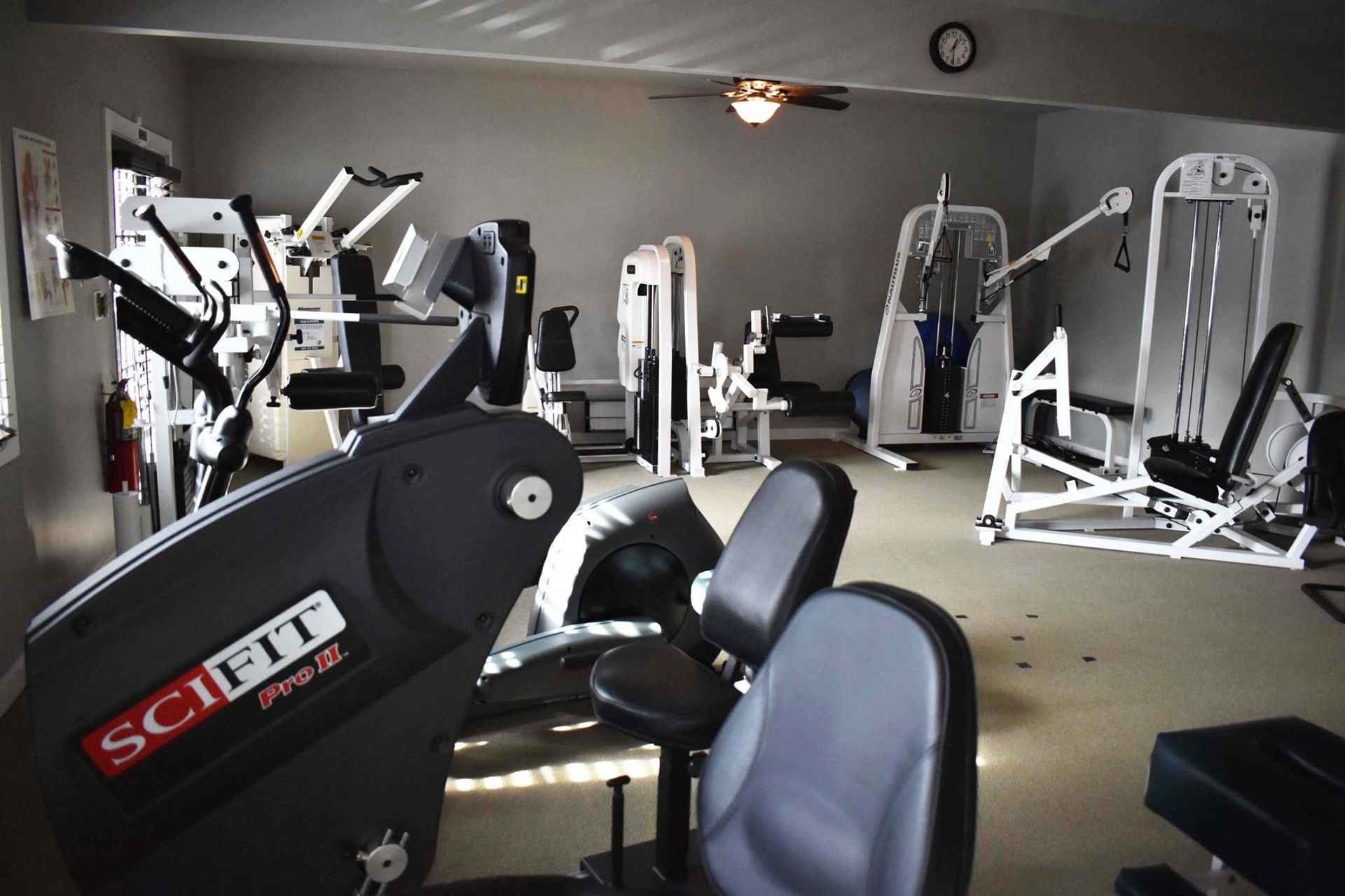 Empty gym with exercise machines and weight equipment in a carpeted room.