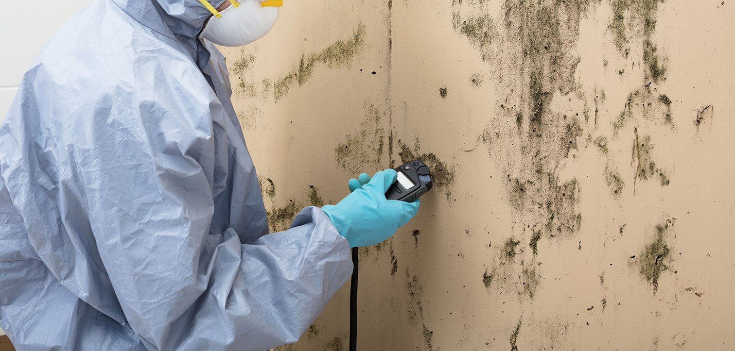 Learn More About Requesting an Estimate Mold removal