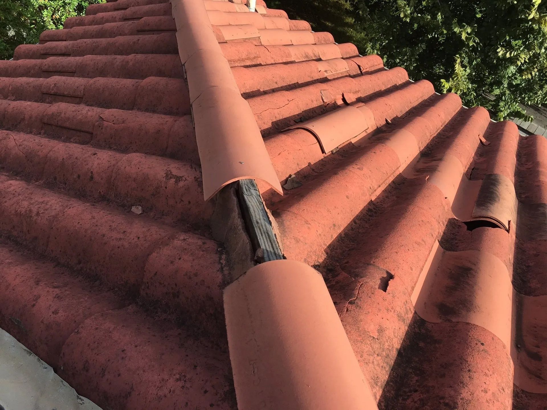Terracotta roof tiles with a damaged ridge vent under trees