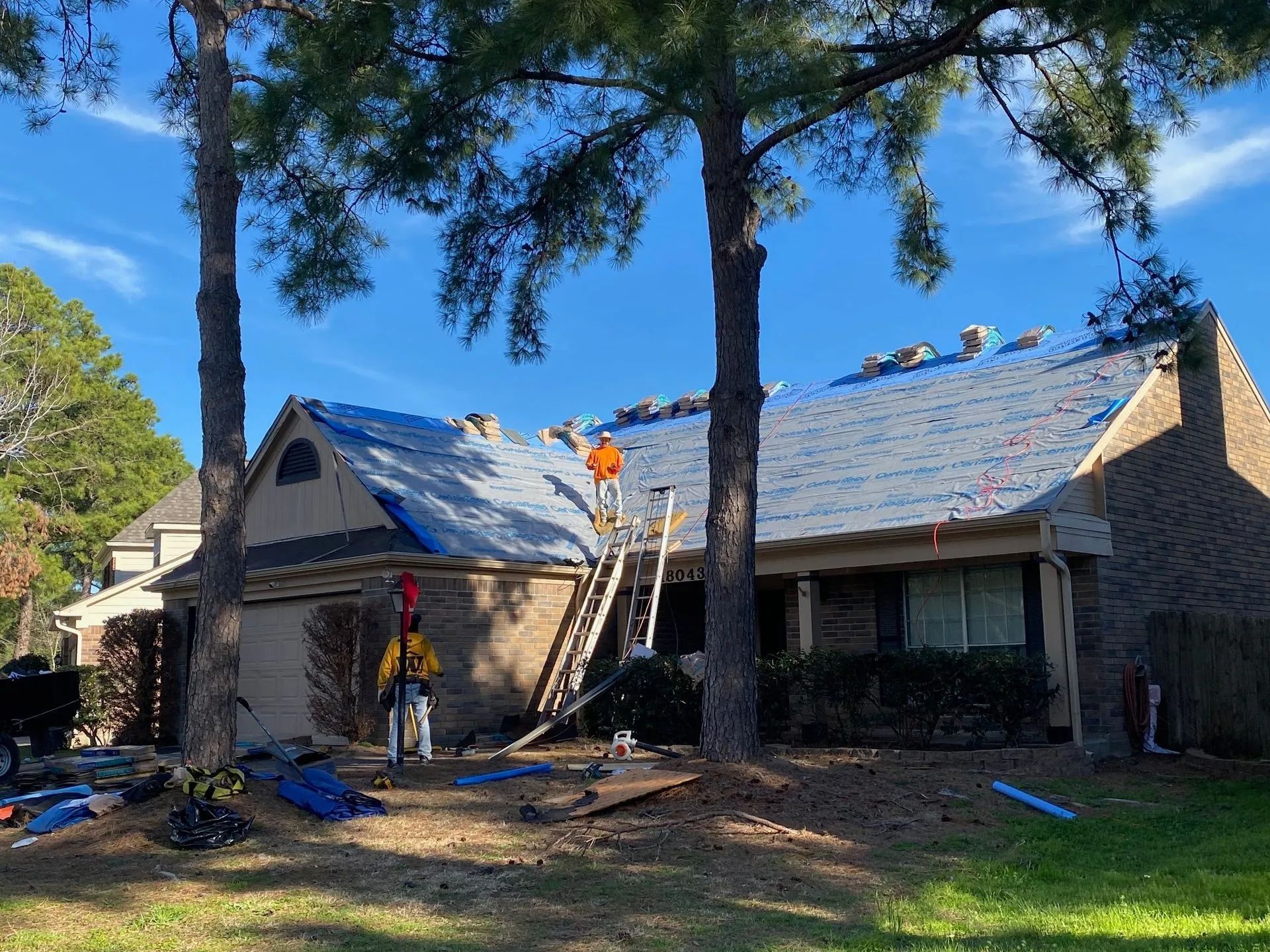 Workers on ladders repairing a shingled house roof under tall pine trees