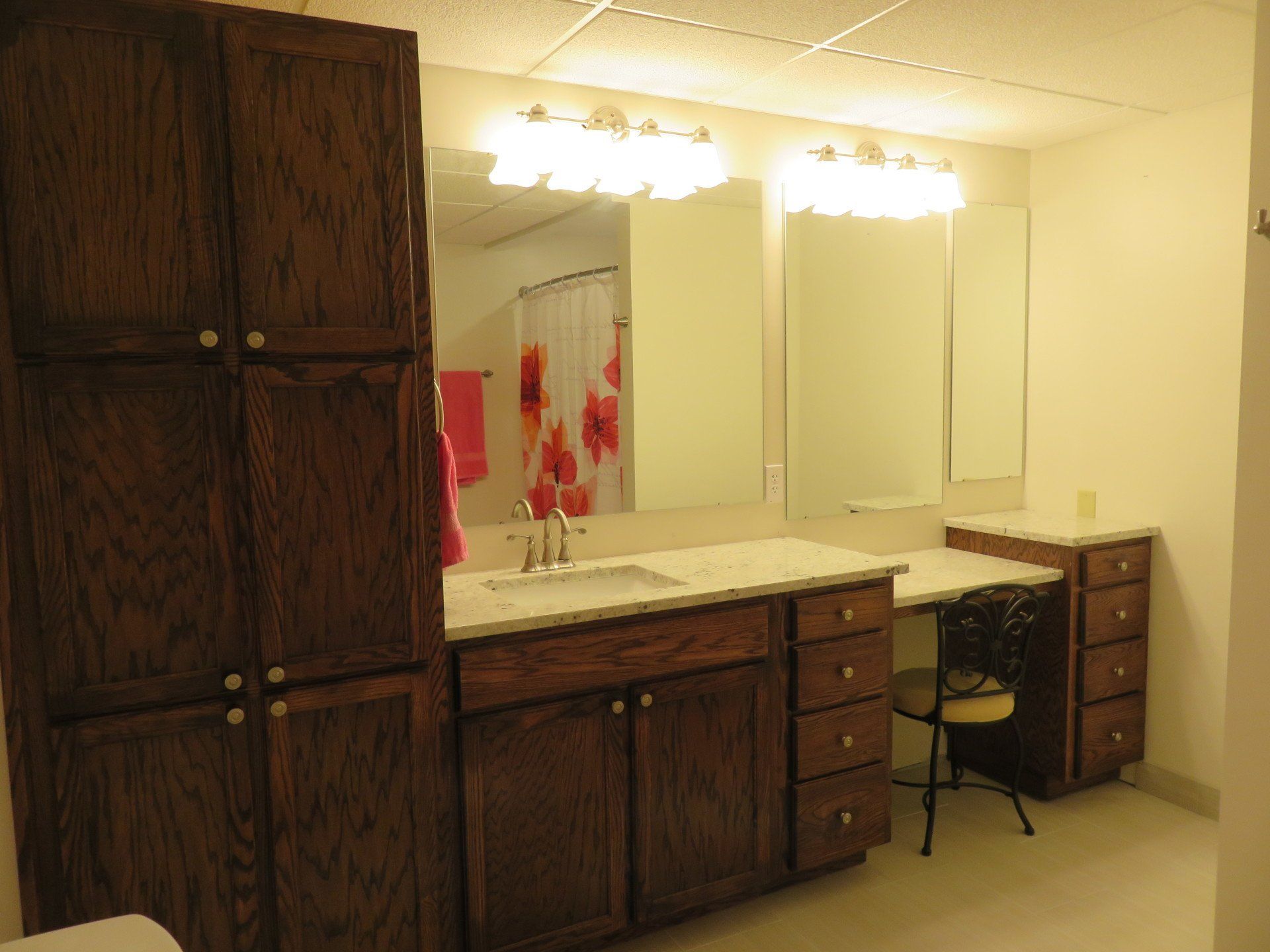 Vanities, Cabinets, Linen Closets, Bathroom Remodel