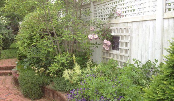 Garden Design and planting