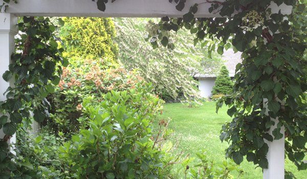 Garden Design and planting