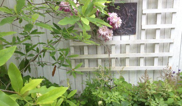 Garden Design and planting