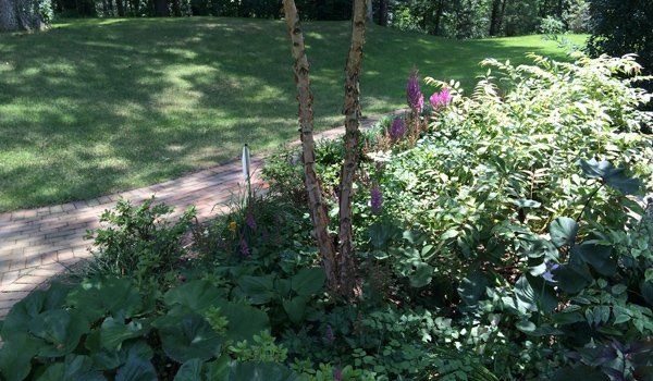 Garden Design and planting