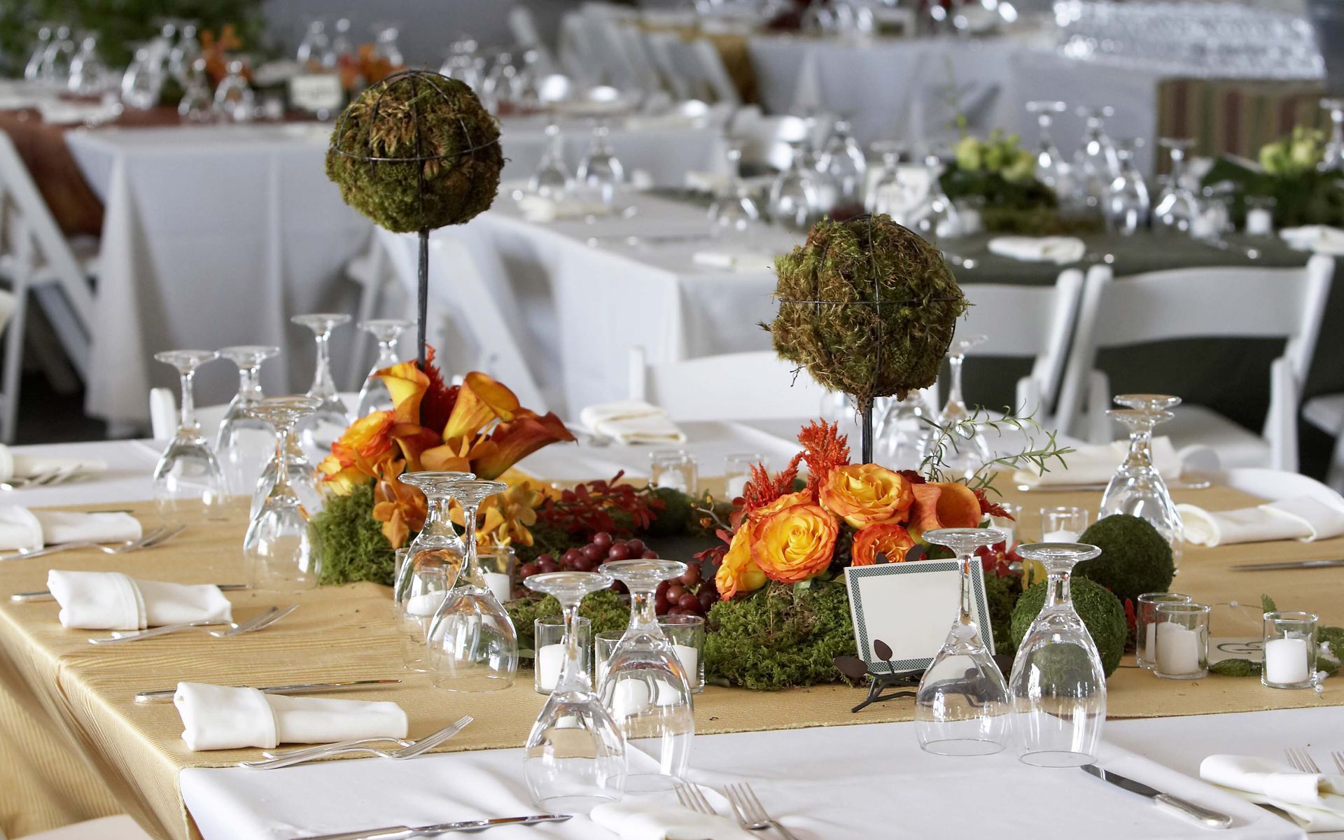 Dinnerware