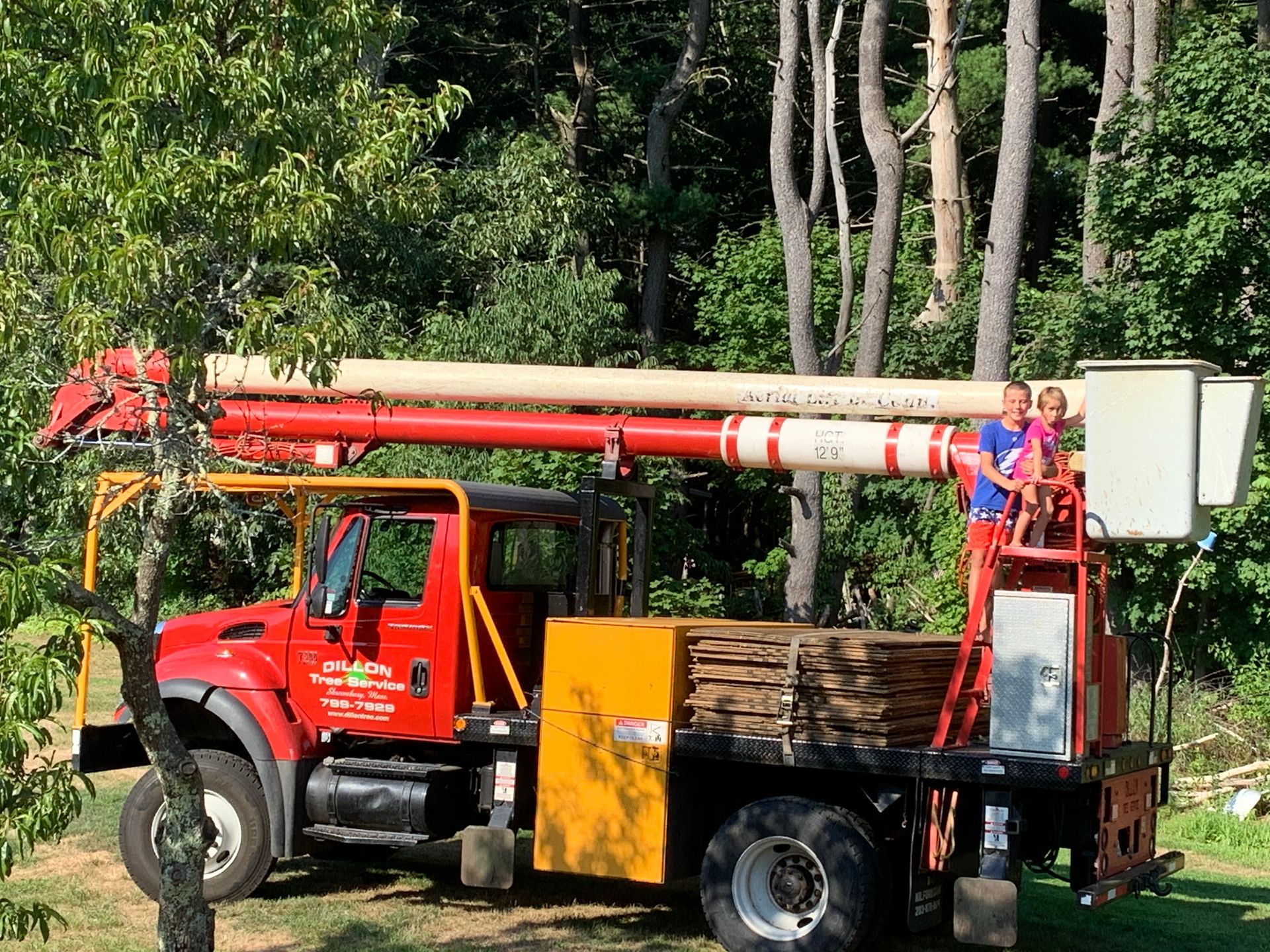 Red tree service truck with a person in the bucket trimming trees in a wooded area.