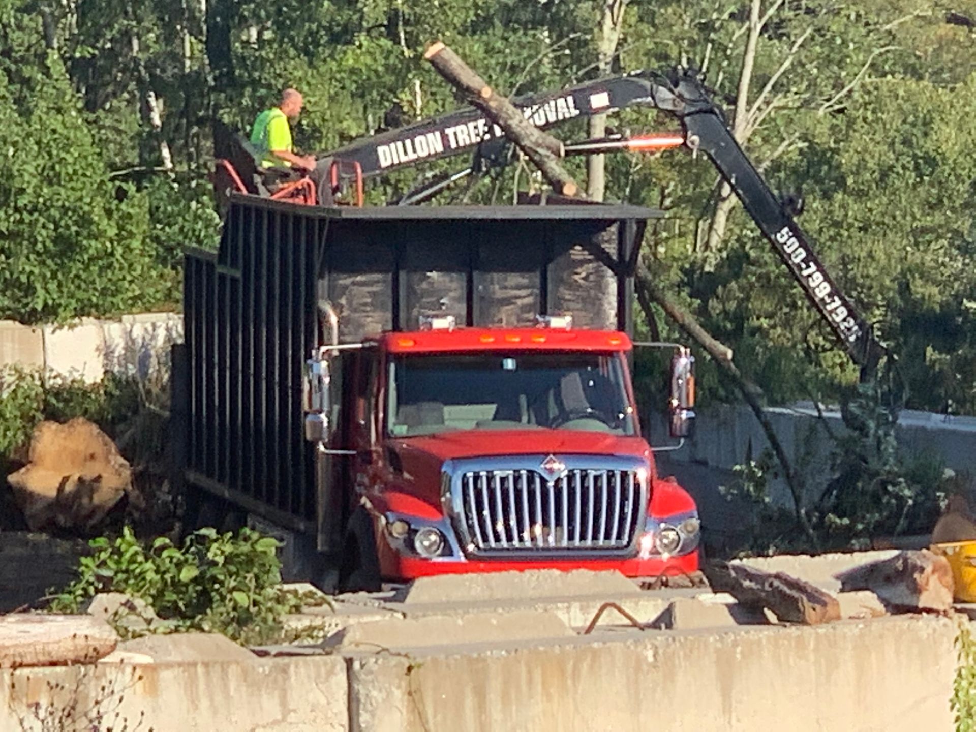 Red tree removal truck with a worker loading branches into a large bin.