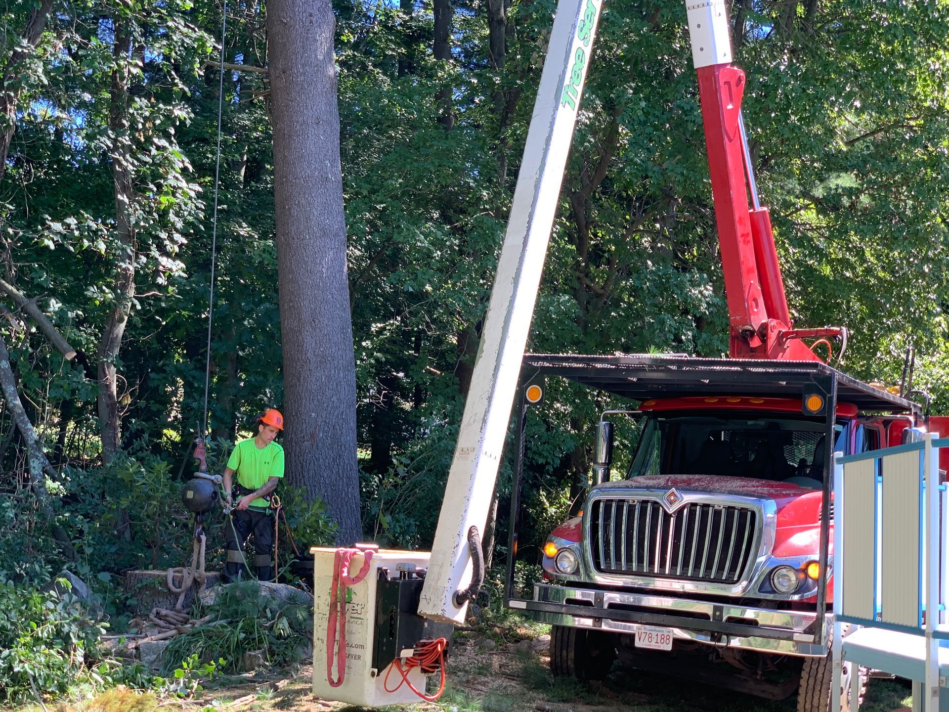 Tree service in progress: a worker in an orange helmet and a truck with a crane arm.