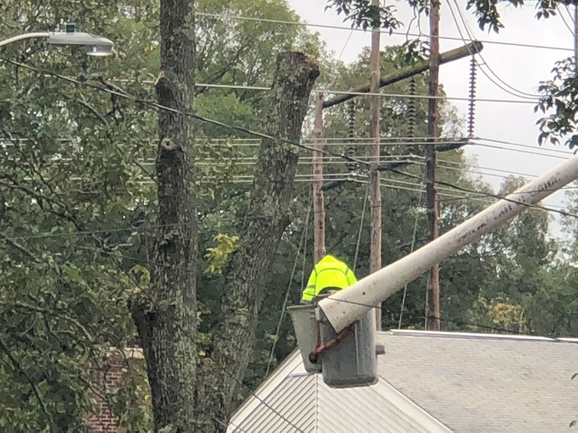 Lineman in yellow vest in bucket trimming a tree near power lines.