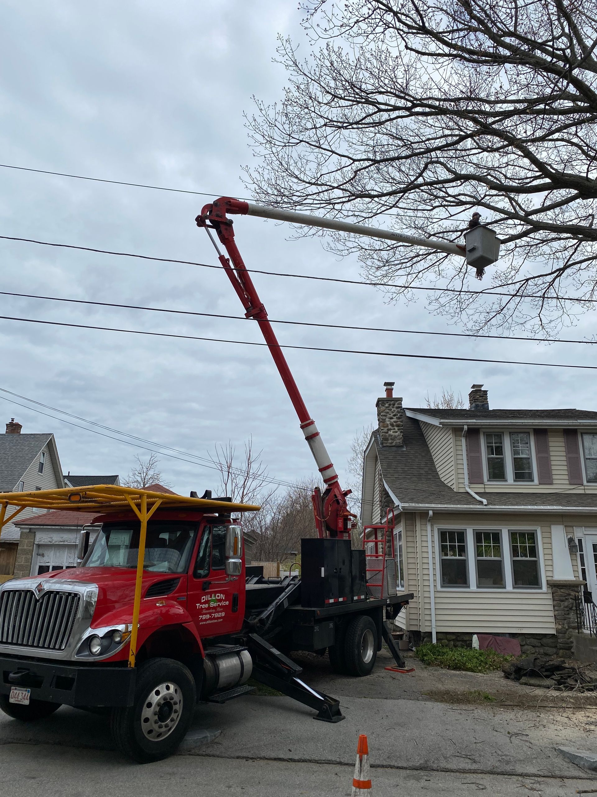 Red utility truck with extended boom trimming tree branches near power lines; houses in the background.
