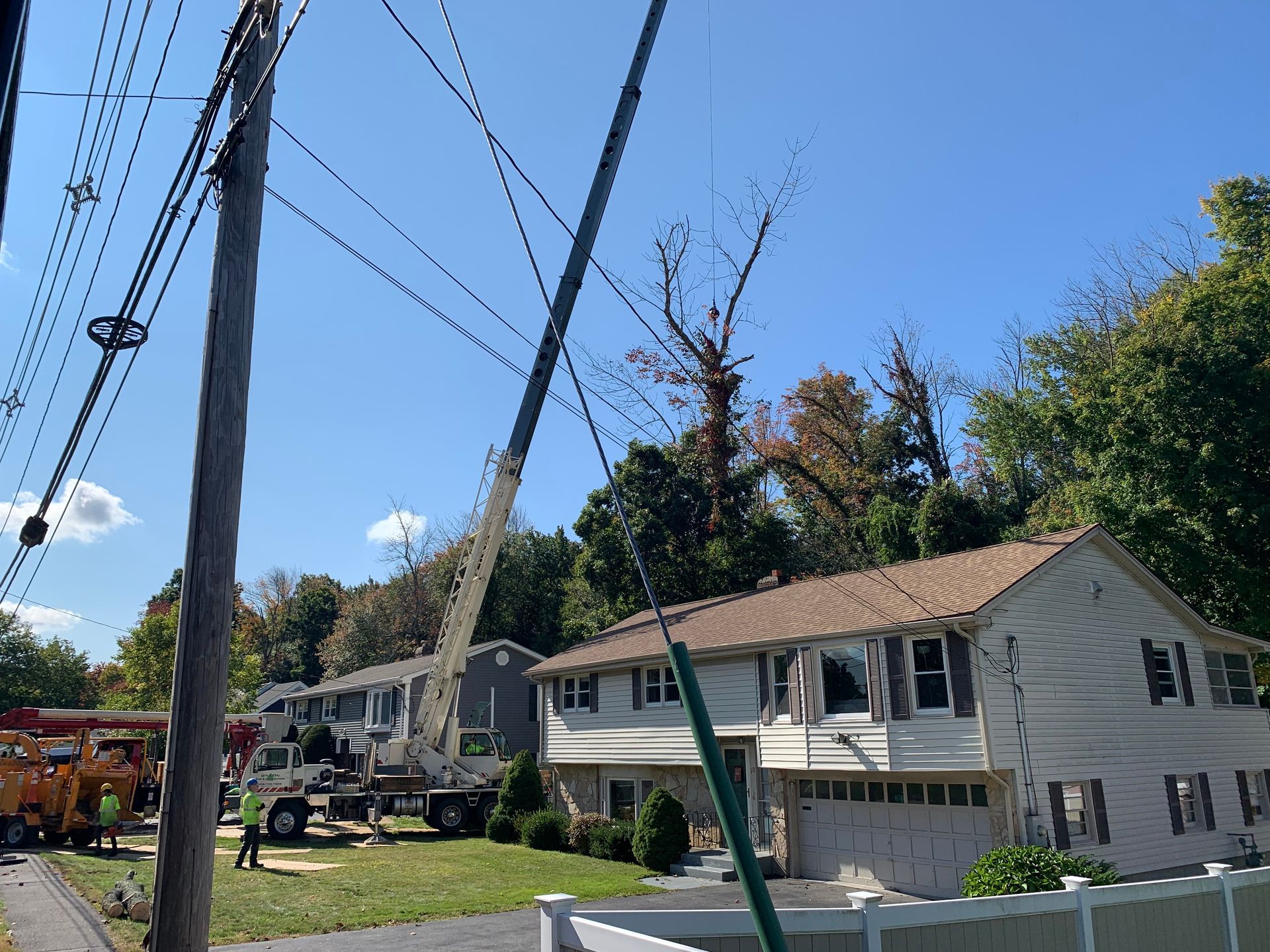 Utility workers with a crane trimming a tree near power lines in front of a two-story house.