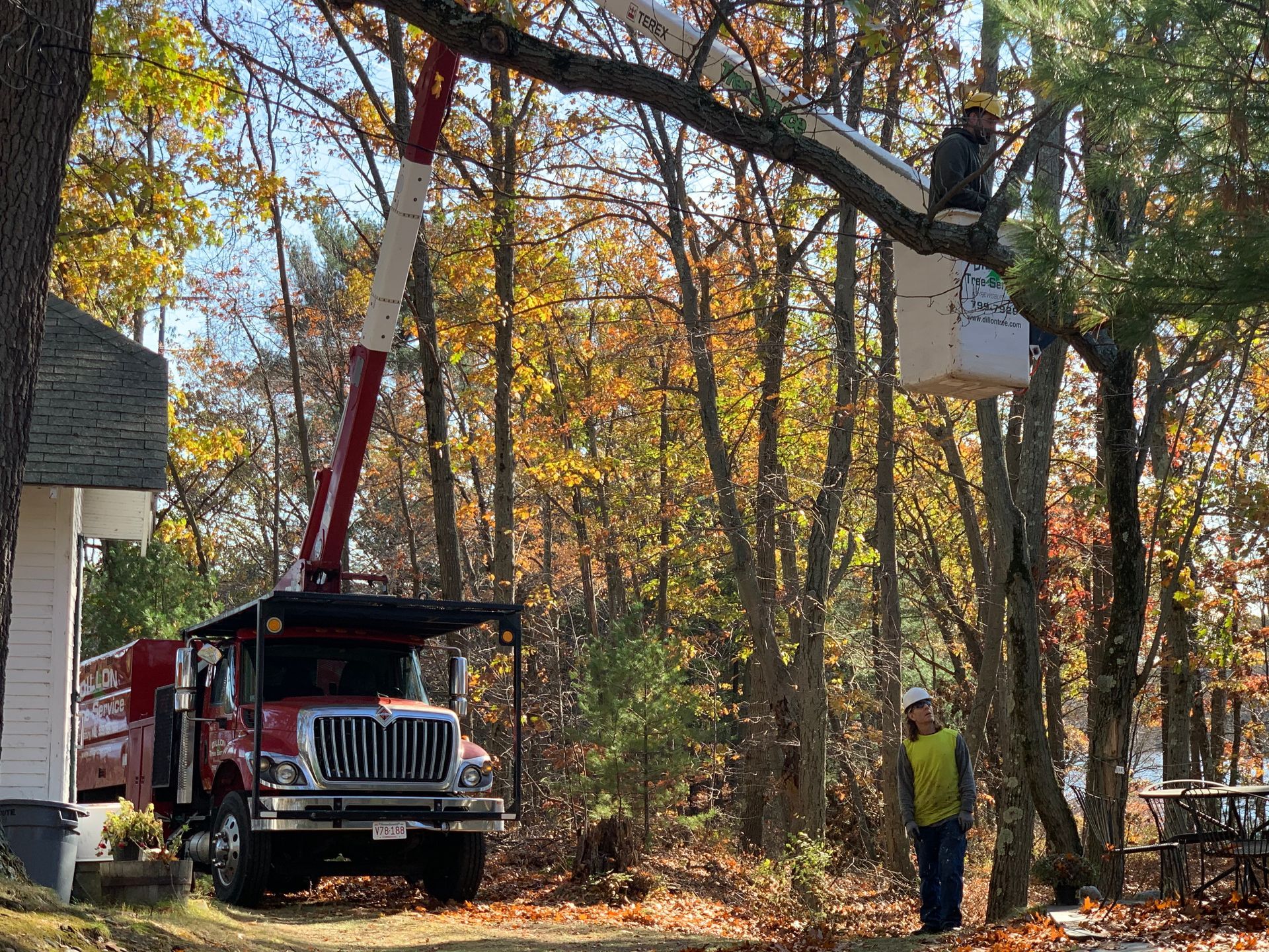 Tree service truck with an arborist in a bucket trimming a tree in autumn.