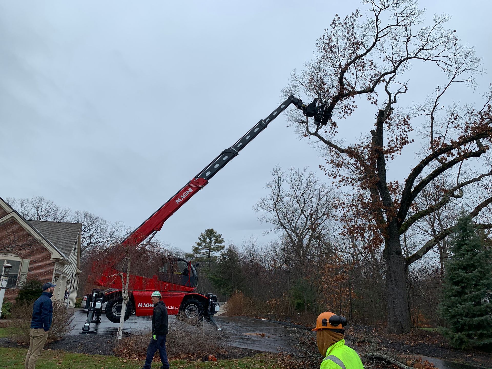 Red crane trimming a large tree near a house on a cloudy day.