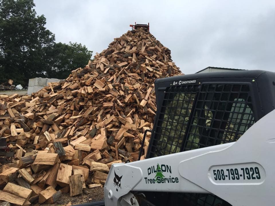 A white Dillon Tree Service skid steer next to a massive woodpile; overcast sky.