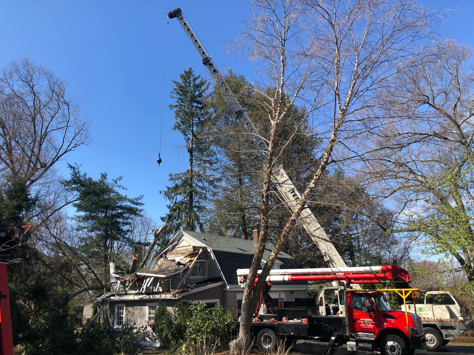 Crane removing tree near damaged house; blue sky.