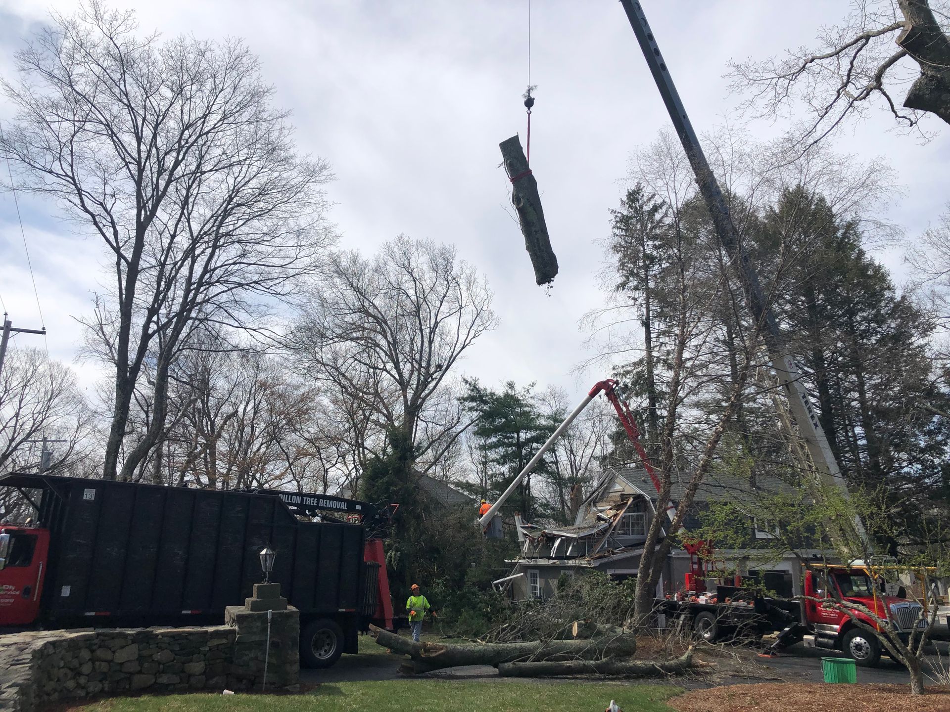 Tree removal: A crane lifts a tree trunk over a chipper truck. Workers in a residential setting.