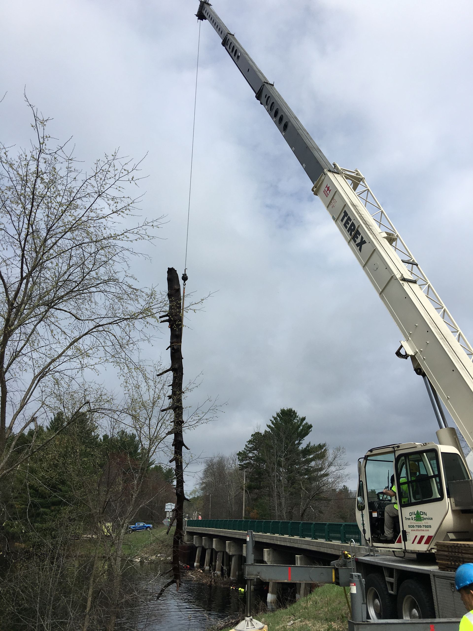 A crane lifting a tall, weathered wooden post; construction near a bridge and trees.