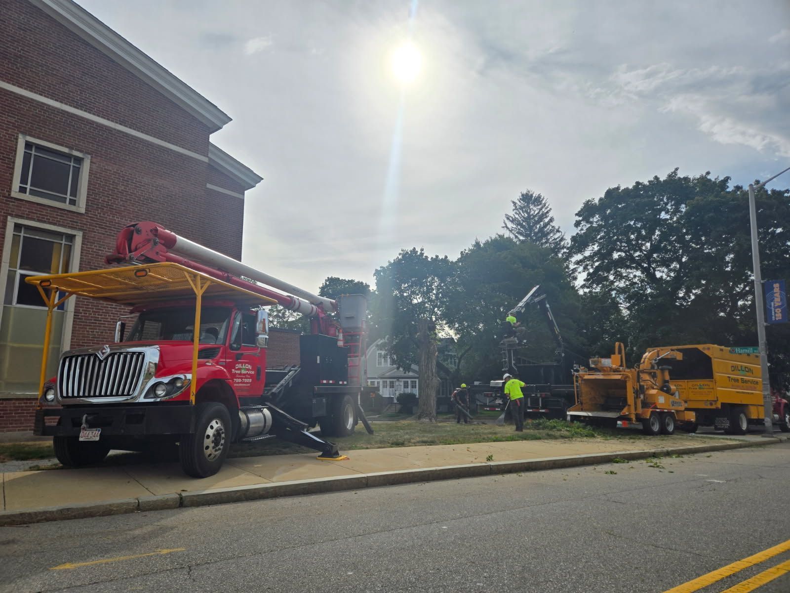 Tree removal crew with trucks working near a brick building on a sunny day.