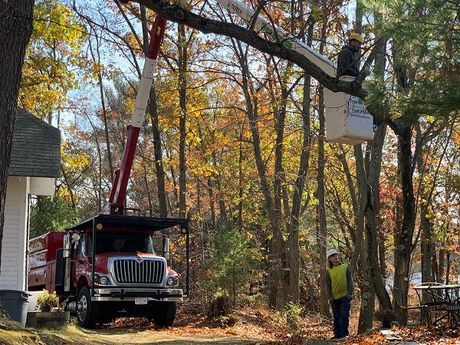 men and trucks for tree service