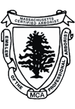Massachusetts Certified Arborist