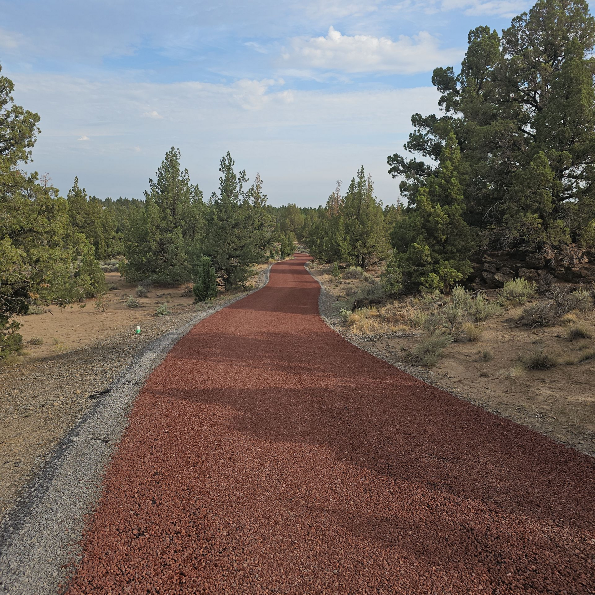 Red gravel path winding through a sparse forest under a partly cloudy sky.